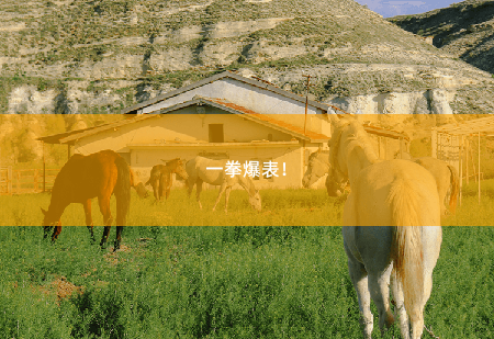 一拳爆表！逆天龙婿-掌中文学