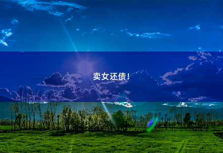 卖女还债！逆天龙婿-掌中文学