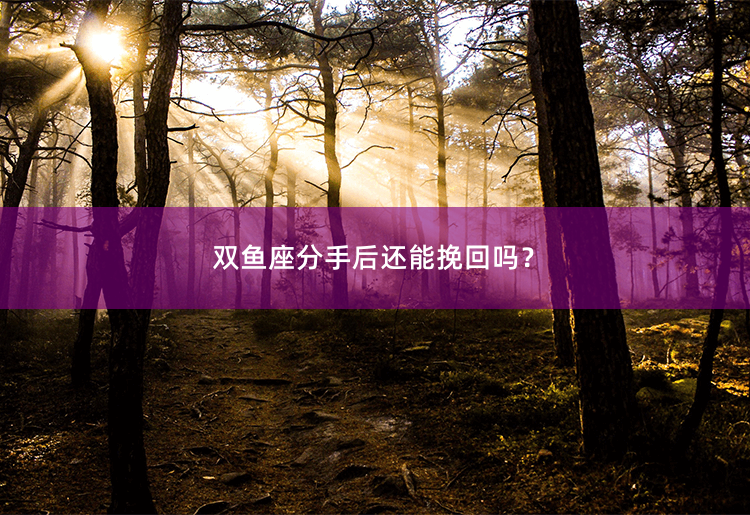 双鱼座分手后还能挽回吗？双鱼座分手：如何挽回失去的爱情？-掌中文学