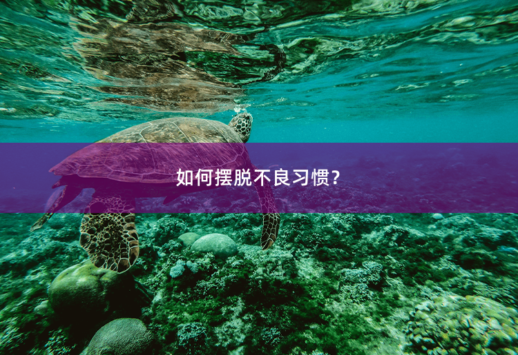 如何摆脱不良习惯？战胜不良习惯的有效方法-掌中文学