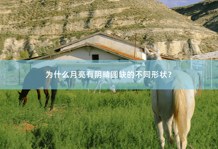 为什么月亮有阴晴圆缺的不同形状？《亮的不同形状的原因及析》-掌中文学