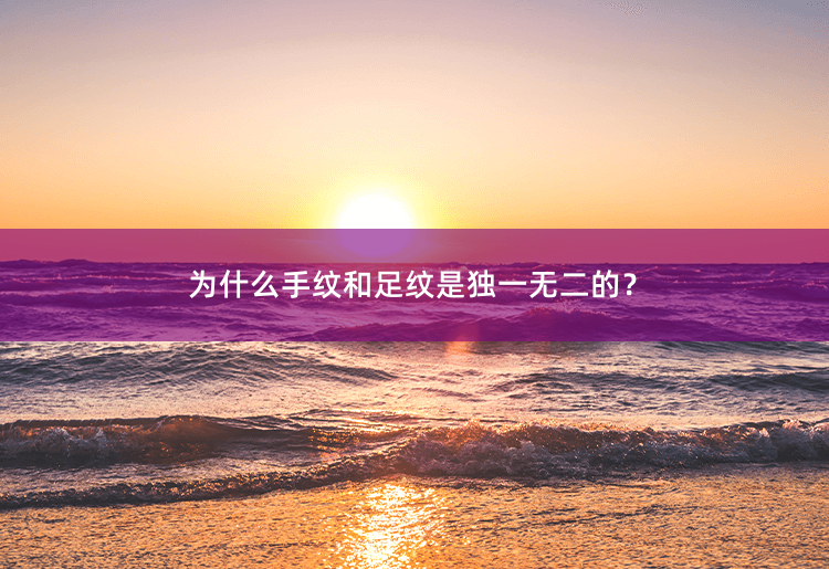 为什么手纹和足纹是独一无二的？揭秘手纹和足纹的独一无二之谜-掌中文学