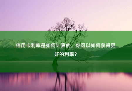 信用卡利率是如何计算的，你可以如何获得更好的利率？选择信用卡利率最佳方案-掌中文学