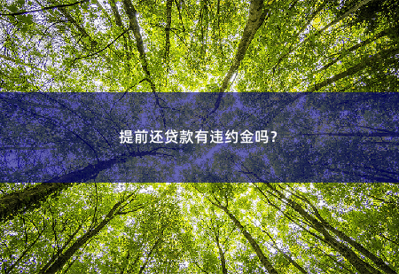 提前还贷款有违约金吗？提前还贷款有违约金吗？-掌中文学