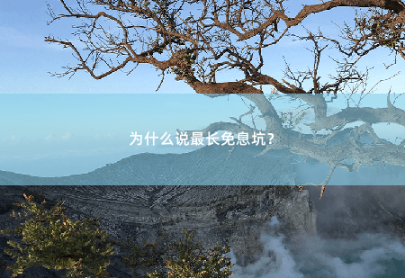 为什么说最长免息坑？为什么说最长免息坑？-掌中文学