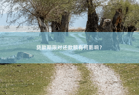 贷款期限对还款额有何影响？贷款期限对还款额有何影响？-掌中文学