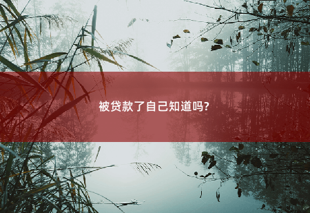 被贷款了自己知道吗?被贷款了自己知道吗?-掌中文学