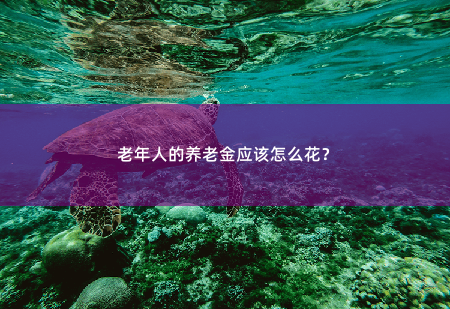 老年人的养老金应该怎么花？如何合理地利用这笔养老金则至关重要。-掌中文学