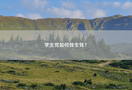 学生党如何钱生钱？校园里怎么赚钱？-掌中文学