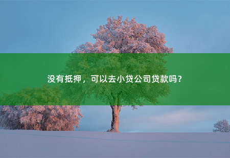没有抵押，可以去小贷公司贷款吗？一些小贷公司可以提供没有抵押品的贷款服务-掌中文学