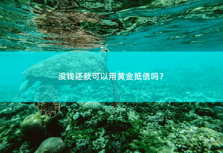 没钱还款可以用黄金抵债吗？黄金作为一种珍贵的贵重金属，其价值相对稳定且易于流通。-掌中文学
