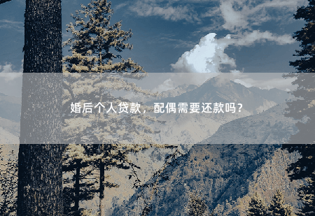 婚后个人贷款，配偶需要还款吗？婚姻并不等同于共同债务-掌中文学