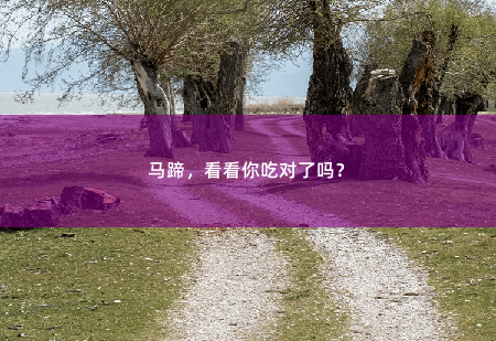 马蹄，看看你吃对了吗？该怎么吃你看了吗-掌中文学