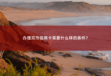 办理双币信用卡需要什么样的条件？-掌中文学