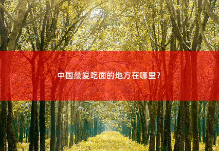 中国最爱吃面的地方在哪里？-掌中文学