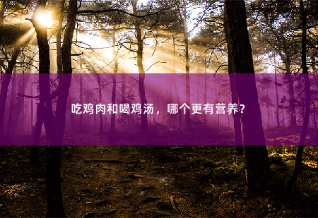 吃鸡肉和喝鸡汤，哪个更有营养？-掌中文学