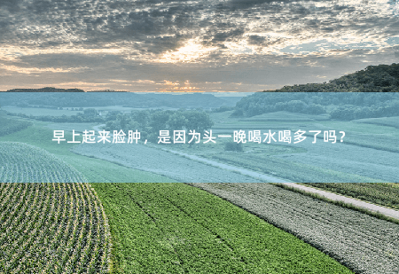 早上起来脸肿，是因为头一晚喝水喝多了吗？-掌中文学