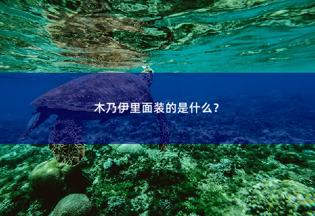 木乃伊里面装的是什么？-掌中文学
