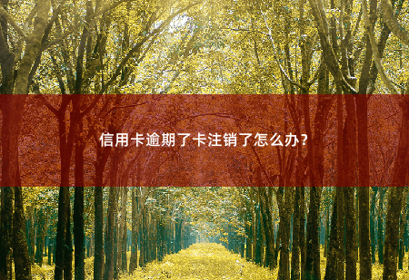 信用卡逾期了卡注销了怎么办？-掌中文学