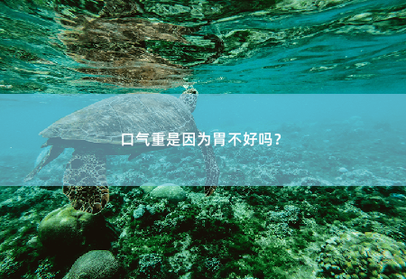 口气重是因为胃不好吗？-掌中文学