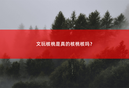 文玩核桃是真的核桃核吗？-掌中文学