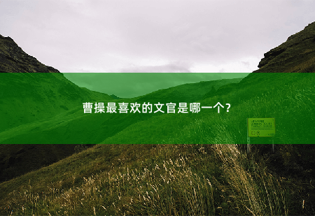 曹操最喜欢的文官是哪一个？-掌中文学