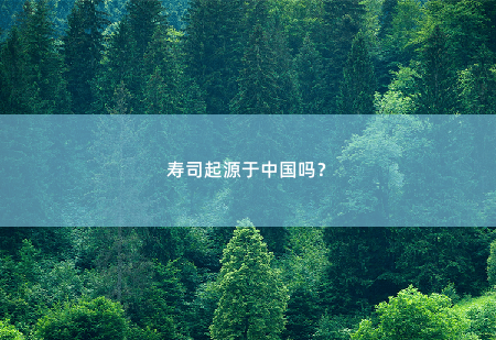 寿司起源于中国吗？-掌中文学