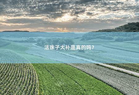 活珠子大补是真的吗？-掌中文学
