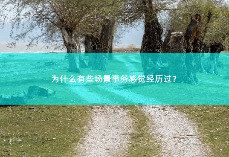 为什么有些场景事务感觉经历过?记忆中的场景重现-掌中文学