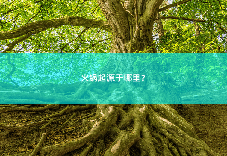 火锅起源于哪里？火锅的起源及其文化价值 -掌中文学