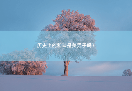 历史上的和珅是美男子吗?历史上的美男子?-掌中文学