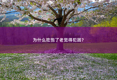 为什么吃饱了老觉得犯困？解密饱食后的困倦现象-掌中文学