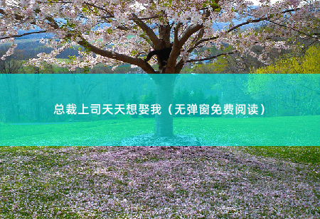 总裁上司天天想娶我（无弹窗免费阅读）大半夜发微信求总裁分享激情小电影是一种什么体验？ -掌中文学