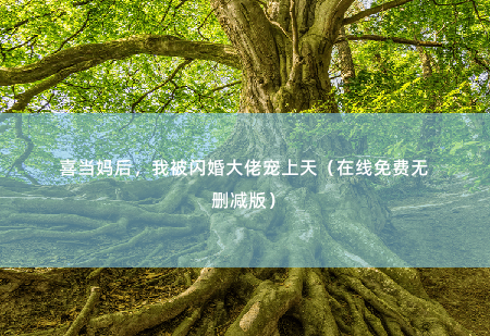 喜当妈后，我被闪婚大佬宠上天（在线免费无删减版）父亲破产，未婚夫背叛-掌中文学