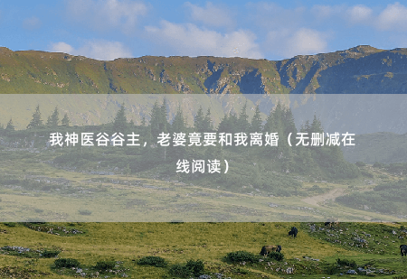 我神医谷谷主，老婆竟要和我离婚（无删减在线阅读）四年前，孙准浩因为赵雅欣家族出了问题，毅然而然和她结婚-掌中文学