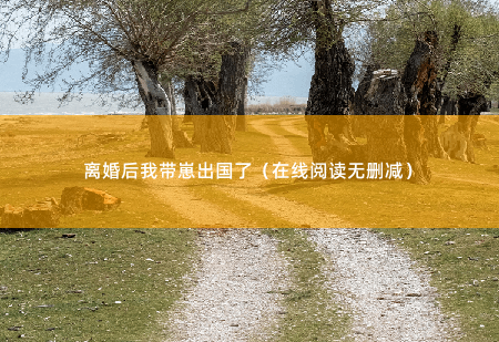 离婚后我带崽出国了（在线阅读无删减）六年前，离开那地方后，她就没想过再回去了！-掌中文学