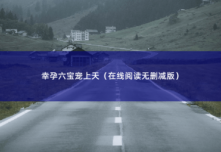 幸孕六宝宠上天(在线阅读无删减版)这个女人是谁,为什么要带走她的孩子……-掌中文学