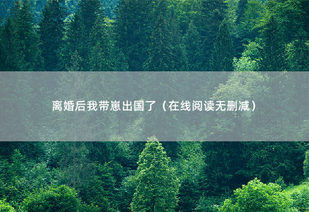 离婚后我带崽出国了（在线阅读无删减）不知道为什么，让她产生了一种，想要亲近的感觉。-掌中文学