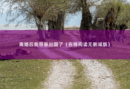 离婚后我带崽出国了（在线阅读无删减版）那道身影，都只是在眼前一闪而过，便再没有踪迹-掌中文学