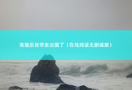 离婚后我带崽出国了（在线阅读无删减版）包厢里，安静的只能听到彼此的呼吸声。-掌中文学