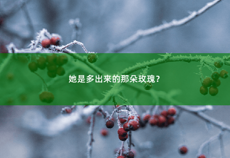 她是多出来的那朵玫瑰?凌总最好别爱而不自知-掌中文学