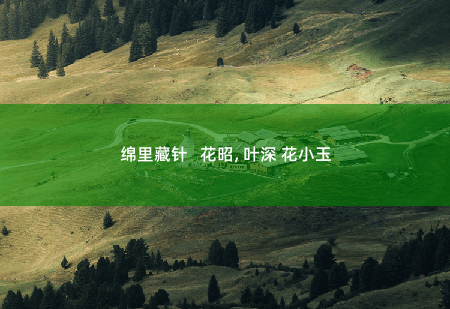  绵里藏针   花昭, 叶深 花小玉不婚不育大龄精英女律师一朝穿越-掌中文学
