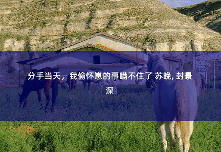 分手当天，我偷怀崽的事瞒不住了 苏晚, 封景深 封总的地下情人-掌中文学