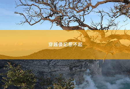 穿越傻妃惹不起傻子替嫁-掌中文学