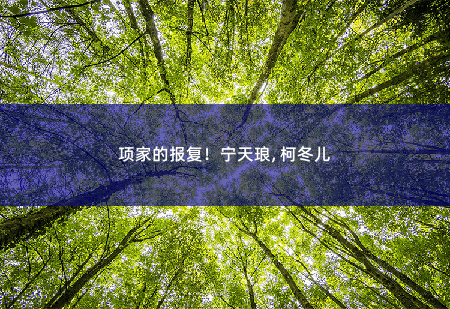项家的报复！宁天琅, 柯冬儿我的七个姐姐国色天姿-掌中文学
