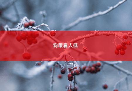 狗眼看人低我的七个姐姐国色天姿-掌中文学
