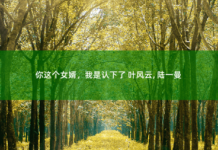 你这个女婿，我是认下了 叶风云, 陆一曼无极神医-掌中文学
