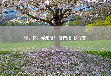 你，你，你无耻！ 陆南烟, 顾北寒顾爷带娃宠妻忙-掌中文学