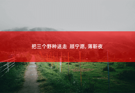 把三个野种送走  顾宁愿, 薄靳夜财阀的小撩妻，带三个祖宗回来了-掌中文学