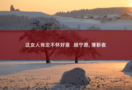 这女人肯定不怀好意   顾宁愿, 薄靳夜财阀的小撩妻，带三个祖宗回来了-掌中文学